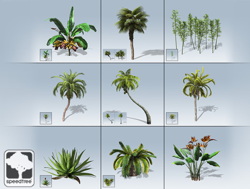 Desktop Palm & Tropical Package