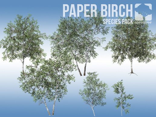 Paper Birch Species Pack (v8)