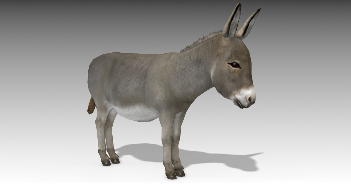 Donkey | Characters | Unity Asset Store