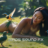 Birds Sound FX