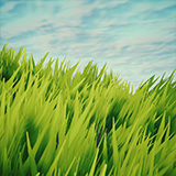 Stylized Grass Shader (for Unity 6)