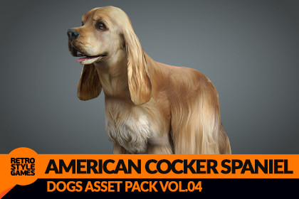 American Cocker Spaniel 3D Model