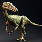 Dinosaur-Compsognathus - 110 Animations