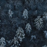 Winter Symphony Music Pack Vol1