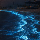 Hammer Mini Music Pack - Retro House Beach Lights