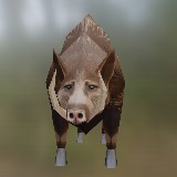 Wild boar