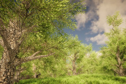 HDRP Tree Pack #9