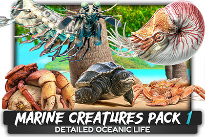 Crab - Coconut Crab - Mantis Shrimp - Sea Turtle - Nautilus - #70