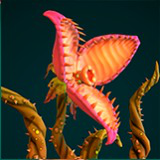 Carnivorous plant character