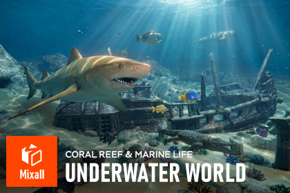 Underwater world - Coral Reef & Marine Life