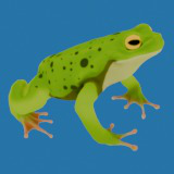 Animated Frog (Stylised)