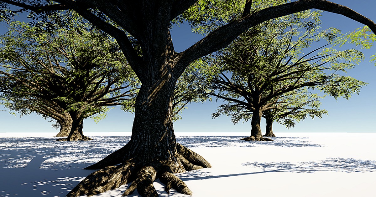 Gen05MightyOak01 | 3D Trees | Unity Asset Store