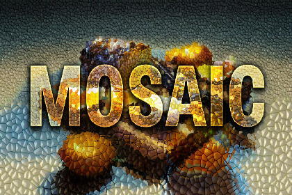 Artistic: Mosaic