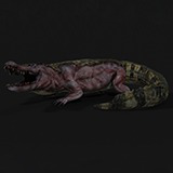 Crocodile — Zombie and Mutant Collection