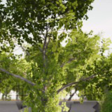 Mega Tree Bundle (All in One)