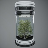 Futuristic Tree Container – Sci-Fi BioDome