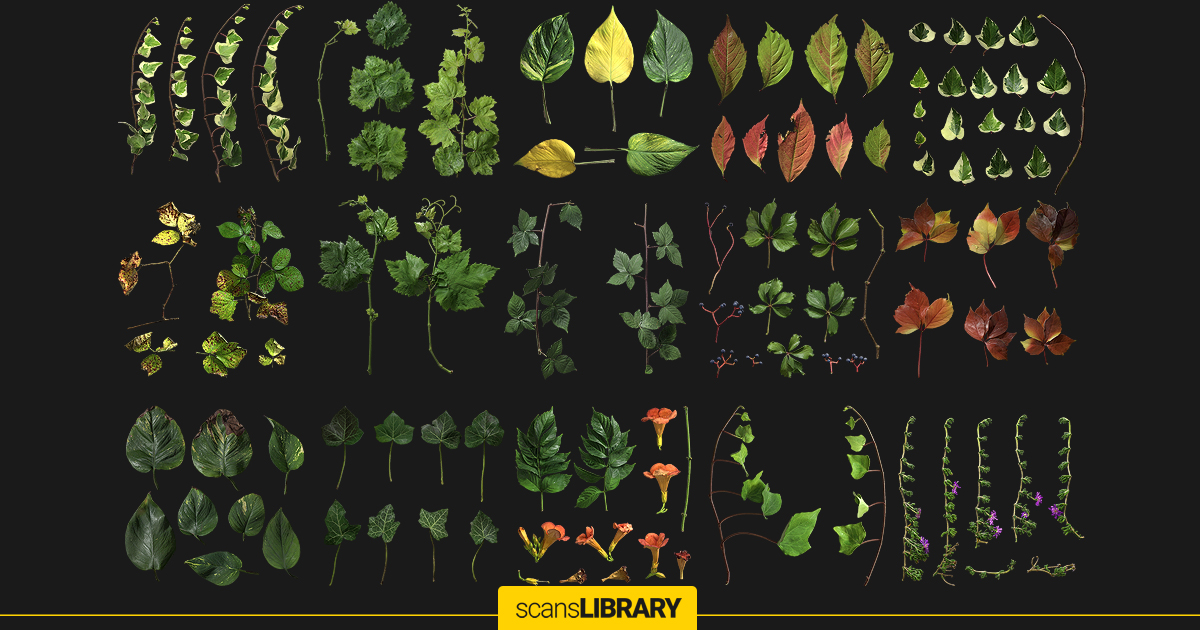 Climped Plant Atlas Scans | 2D Textures & Materials | Unity Asset Store