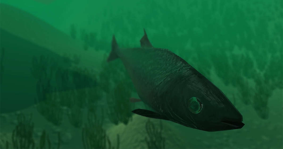 Herring Pack | Characters | Unity Asset Store