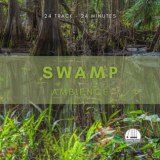 Swamp Ambience