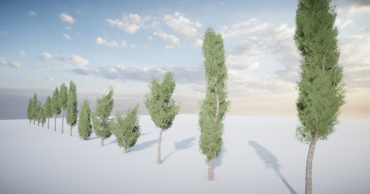 HDRP Tree Pack 2 | 3D Trees | Unity Asset Store