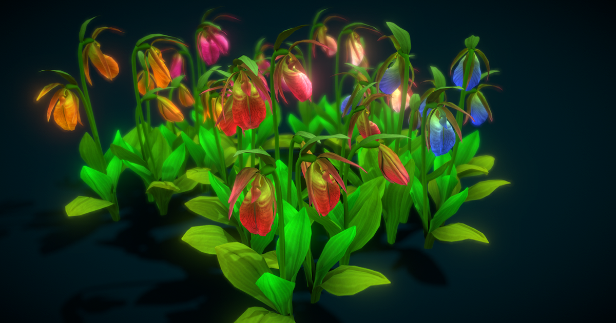Flowwer Cypripedium Acaule | 3D Flowers | Unity Asset Store