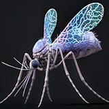 Mosquito Queen Boss - Fantasy Magic Mosquitoes