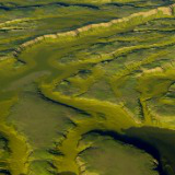 Heightmaps- IslandHeightmapsV2