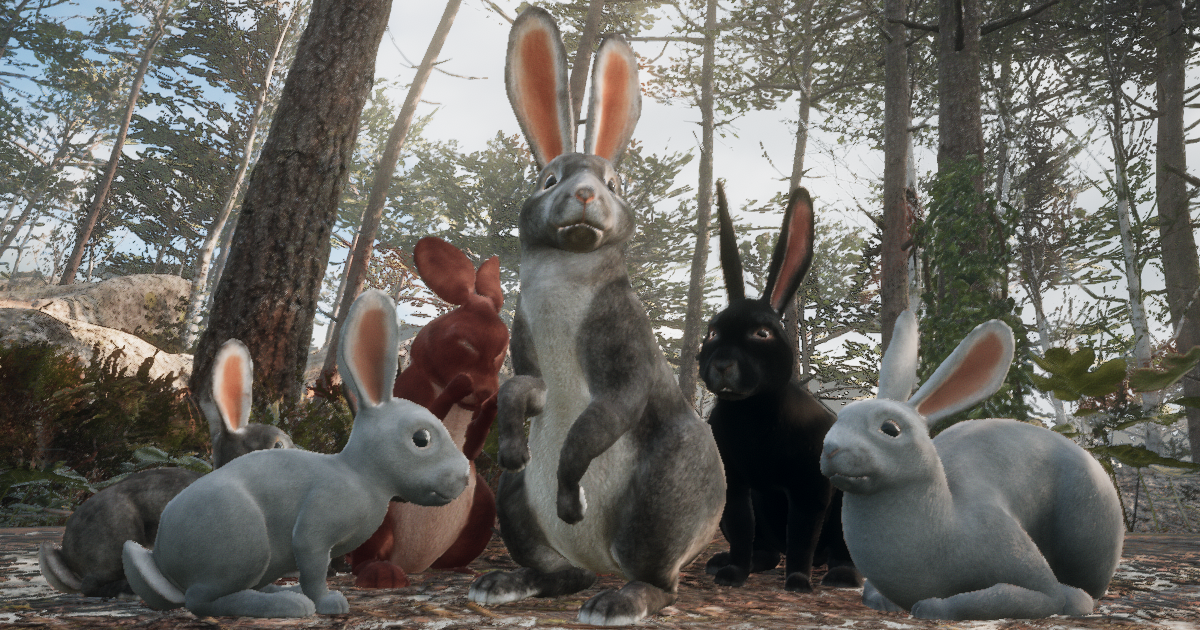 Realistic Rabbits | 3D Animals | Unity Asset Store