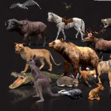 WILDPOLY - Animated Animals – Realistic Pack