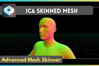 Ica Skinned Mesh