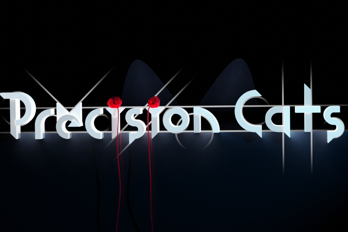 Precision Cat Precision Cats - Asset Store