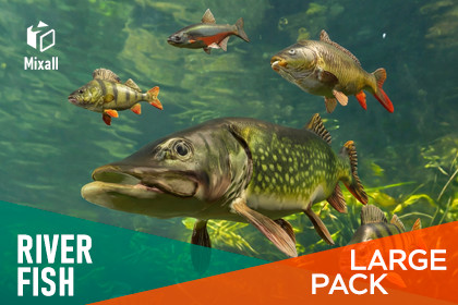 River fish - large pack