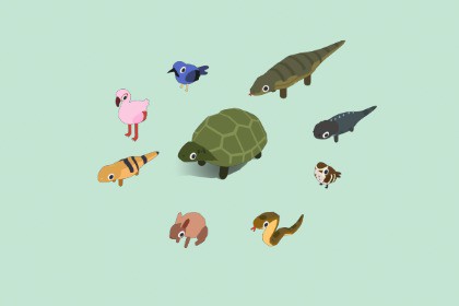 Quirky Series - Volcanic Animals Vol 1