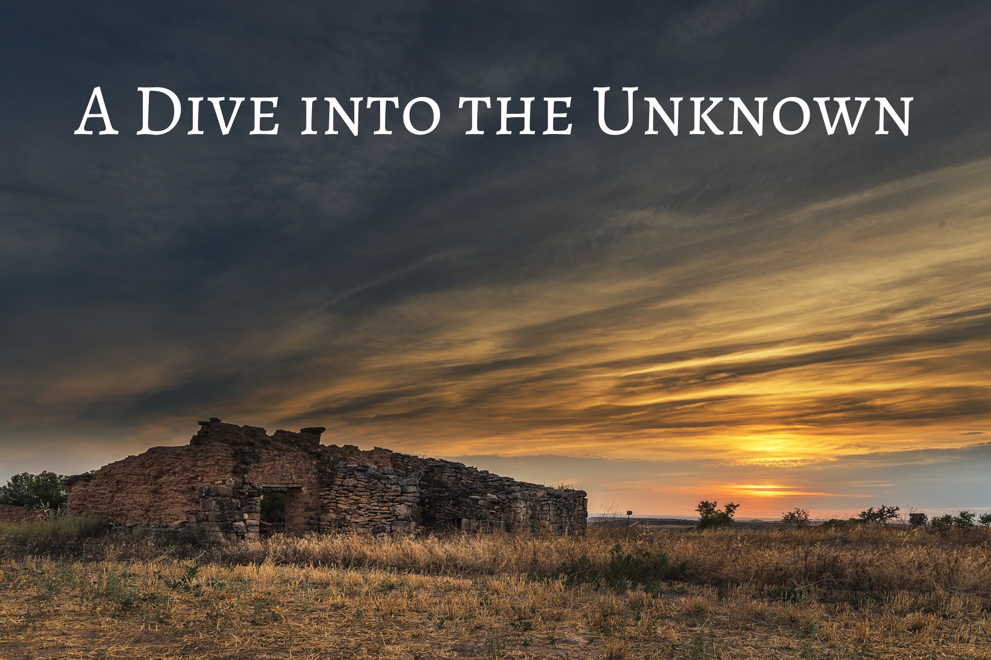 Uncovering The Unthinkable A Deep Dive Into The Anon Ib Archives Secrets - 1nx9r5n