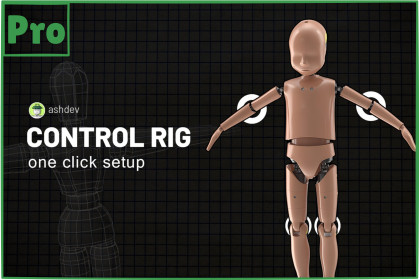 Control Rig Pro