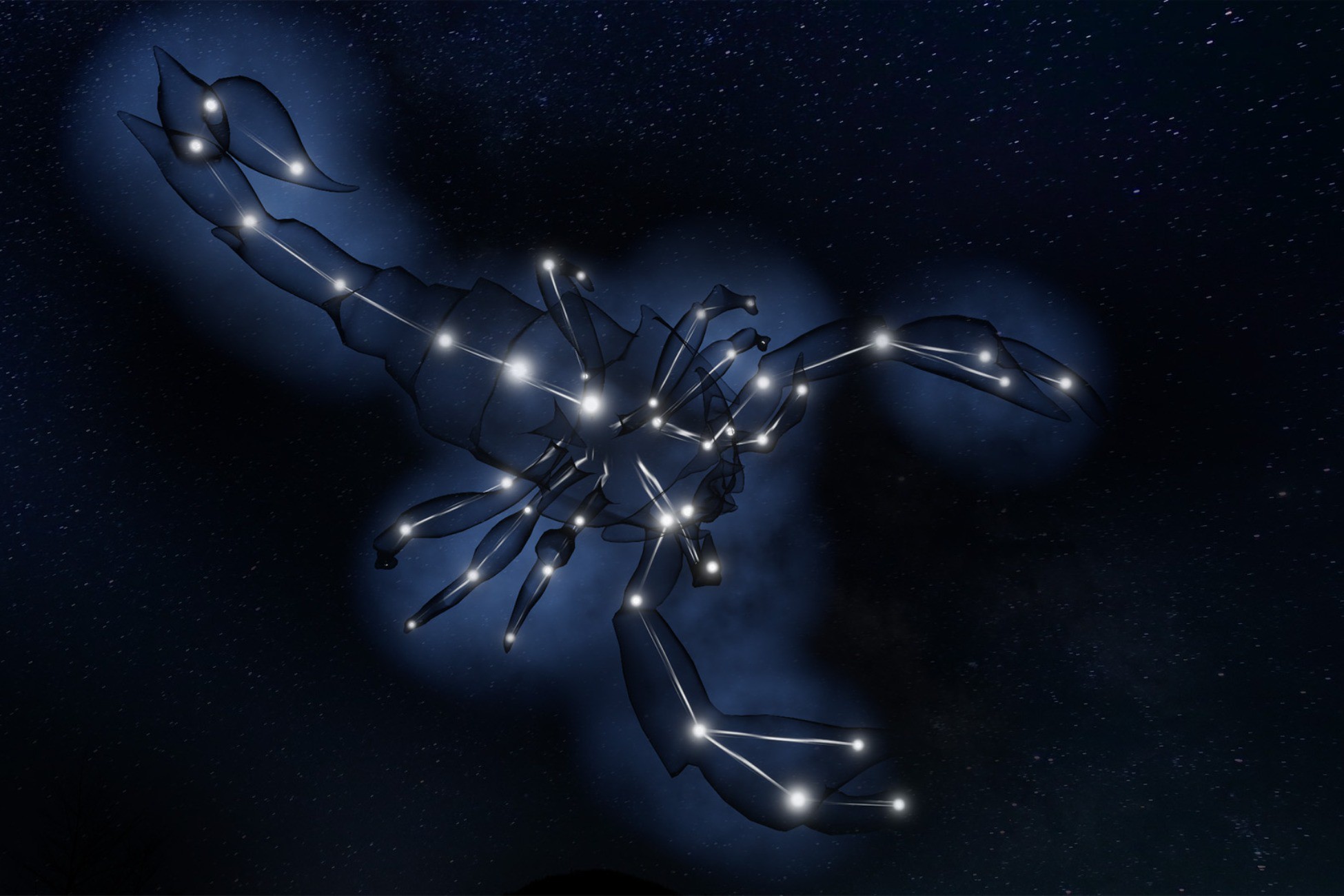 Star scorpion