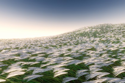 Ghost of Unıty: Grass System