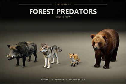 Forest Predators Collection - Realistic Animated Animals