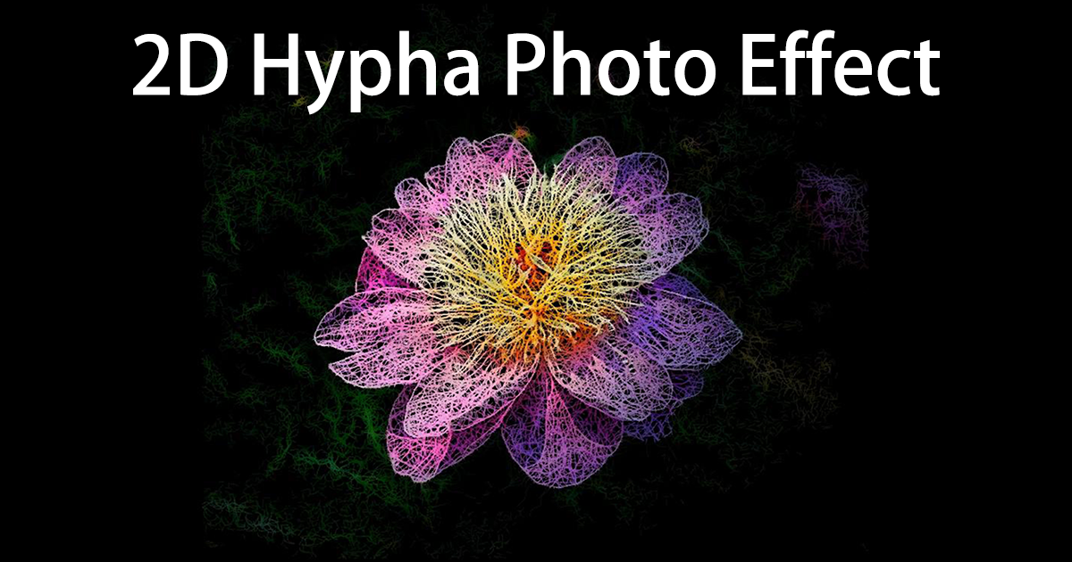 Hyoha 2D Hypha Photo Effect By maything | VFX | Unity Asset Store