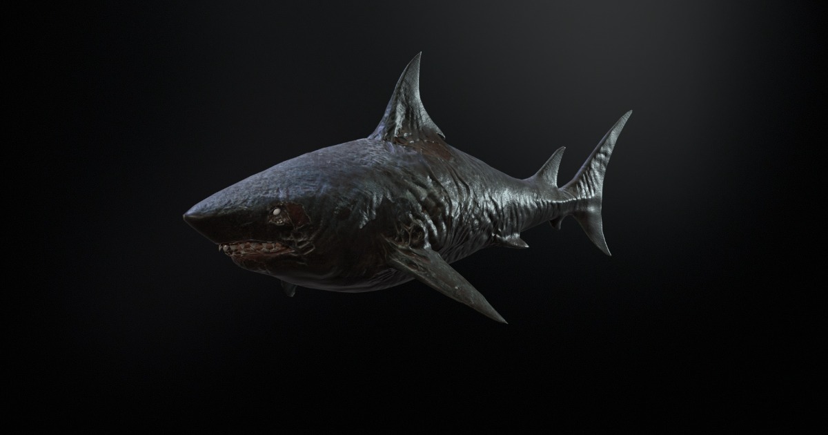 Shark3 | Characters | Unity Asset Store