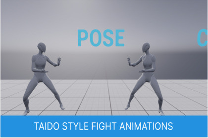 Taido Style Fight Animations