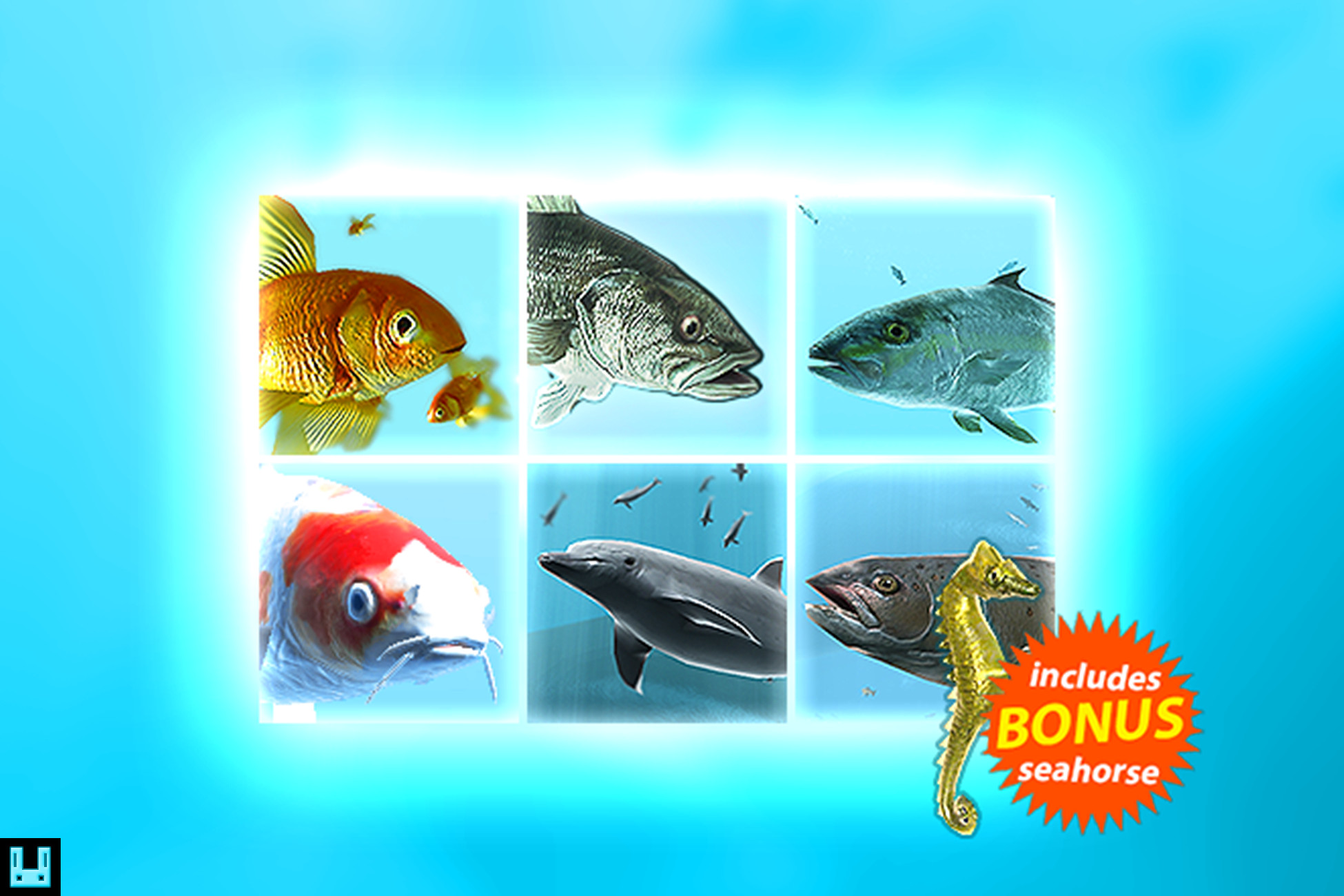 Fish School Bundle | Characters | Unity Asset Store