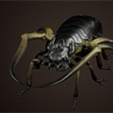 Monster Beetle 01