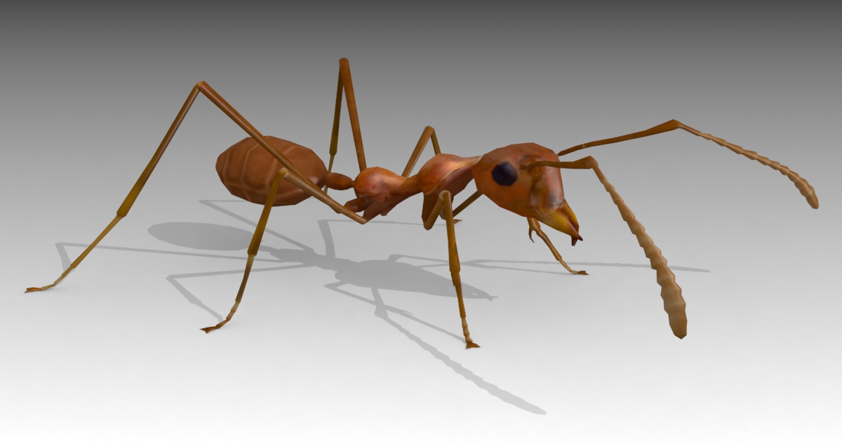 Ant | Characters | Unity Asset Store