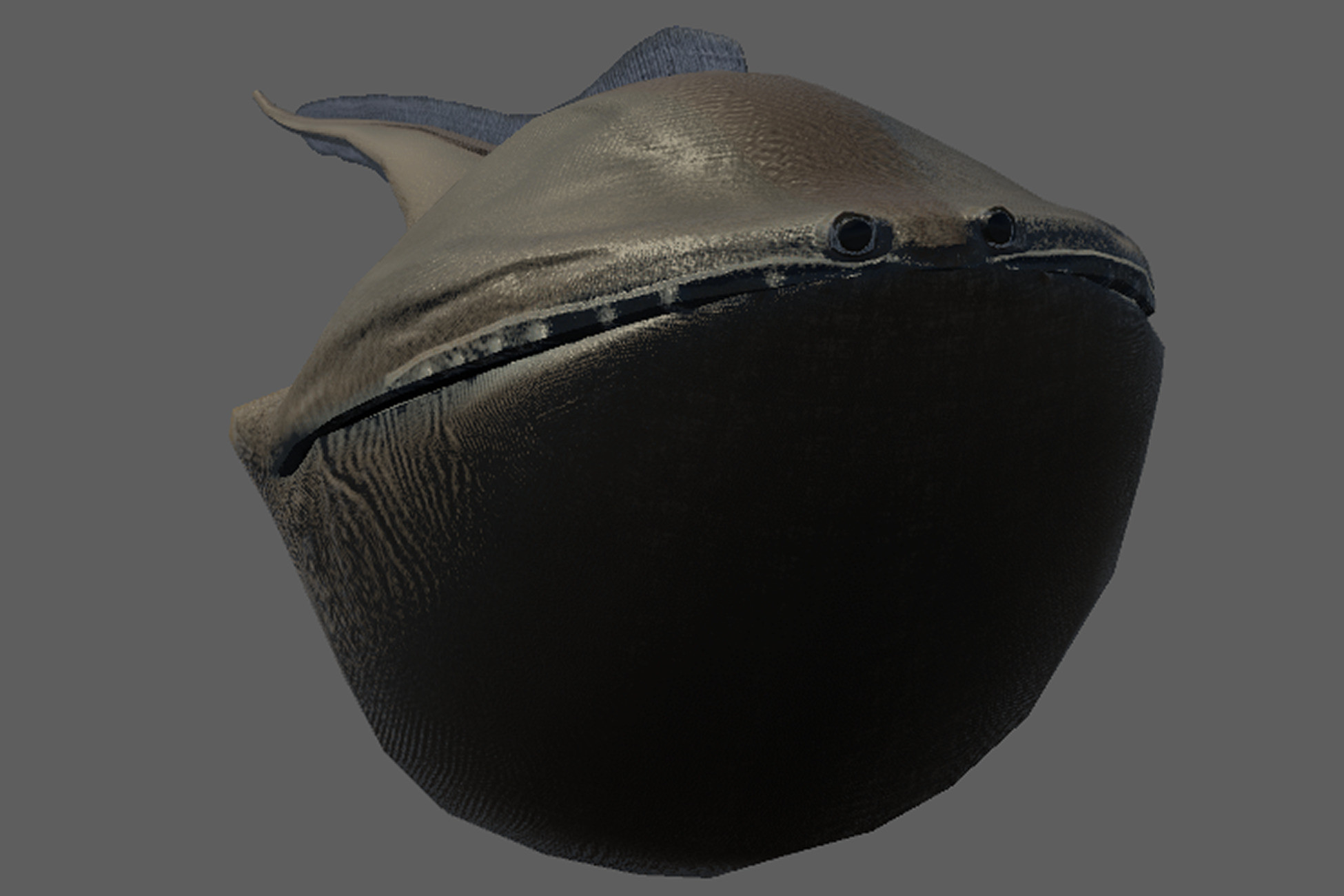 Rare Ocean Fish Pack
