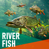River fish - large pack