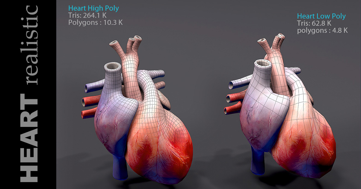 Heart Animated Realistic | 3D Characters | Unity Asset Store