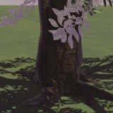 Various Nusantara Tree