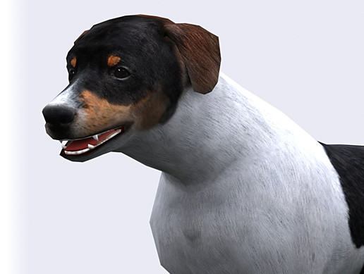 Unity Chain Dog Dog | Characters | Unity Asset Store