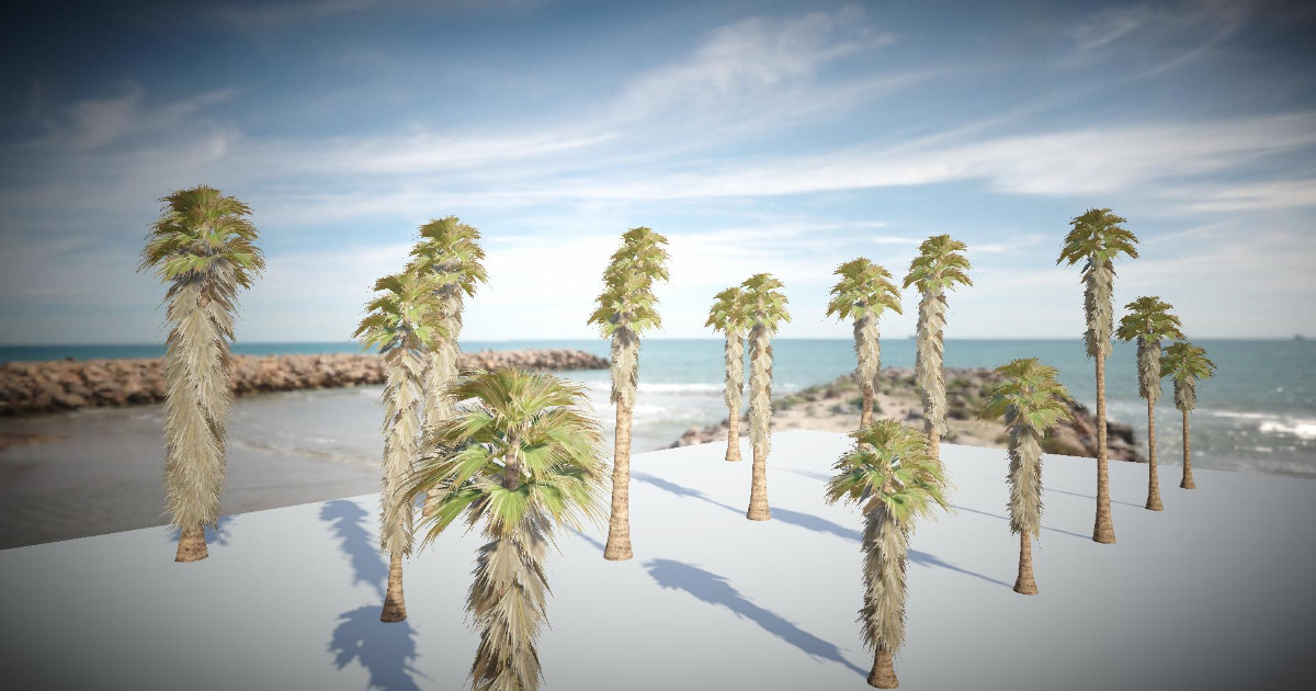 URP Palm Tree 5 (Mobile) | 3D Trees | Unity Asset Store